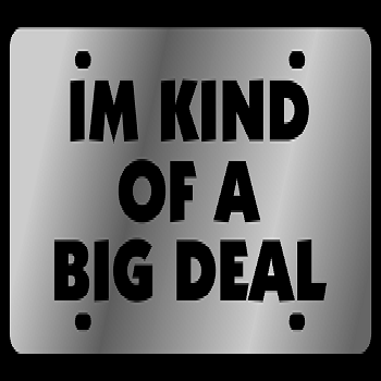 Stainless Steel License Plate Tag