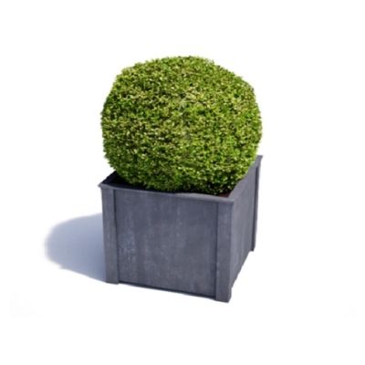 Small Squared Galvanized Steel Planter Boxes