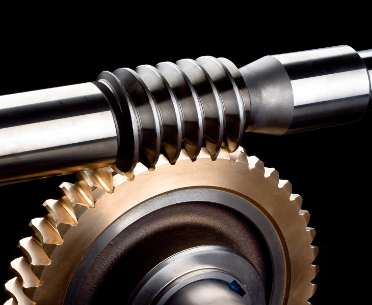 Start Your Custom Order Today