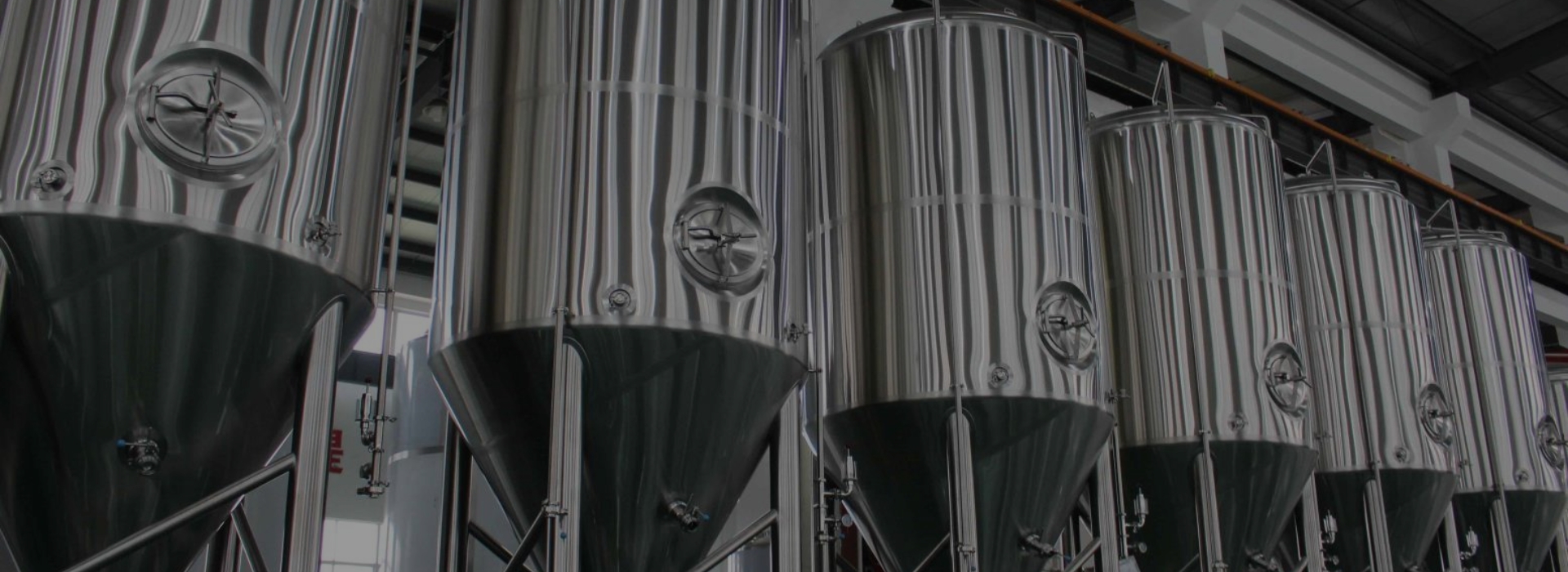 Stainless Steel Fermenter