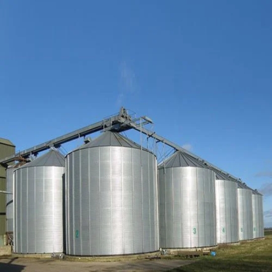 Stainless Steel Silo (3)
