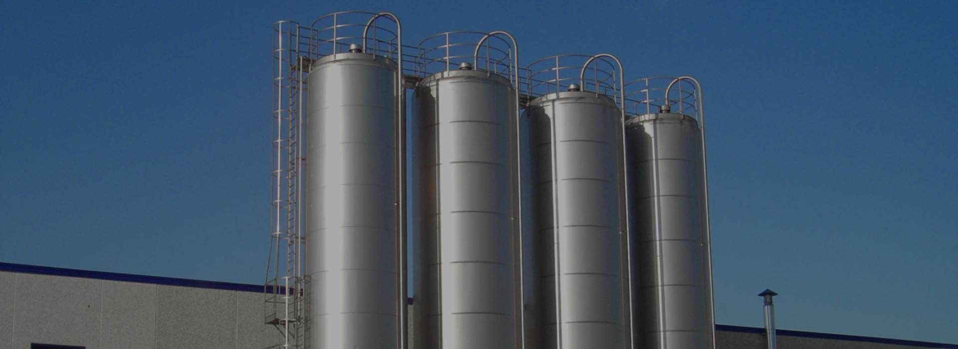 Stainless Steel Silo