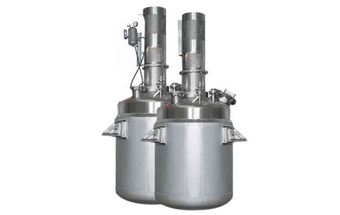 Stainless Steel Chemical Reactor