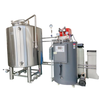 Stainless Steel Gas Steam Boiler (1)