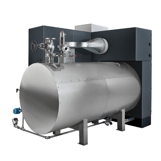 Stainless Steel Steam Boiler